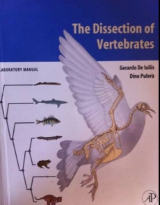 vet book The dissection of vertebrates