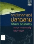 vet book กายวิภาคศาสตร์ปลาฉลาม