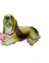 Dog - basset hound