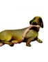 Dog - duchshund