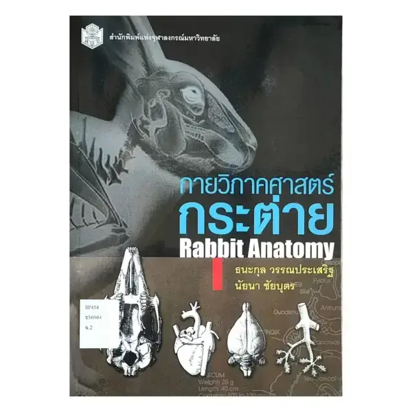กายวิภาคศาสตร์กระต่าย
