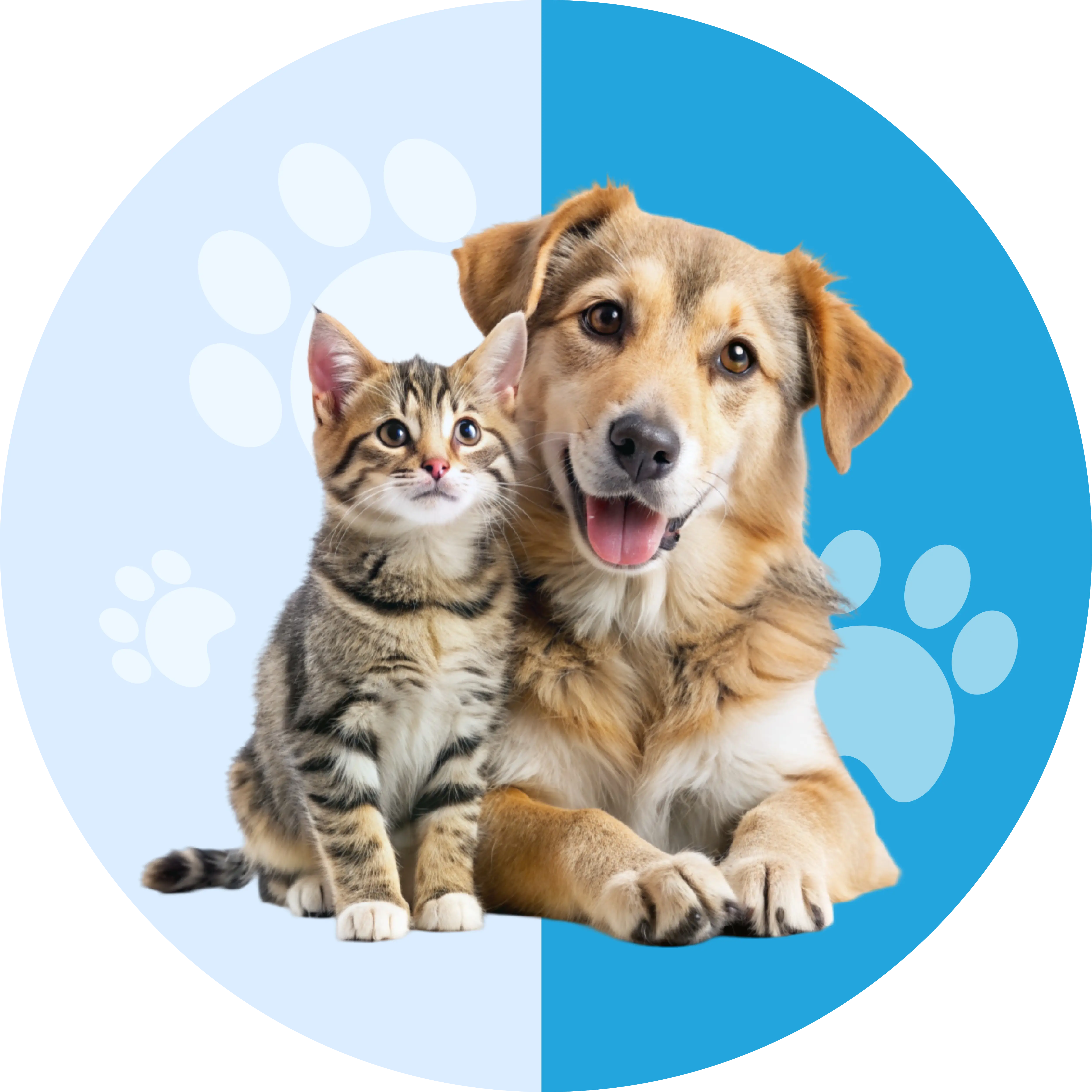 Product category image