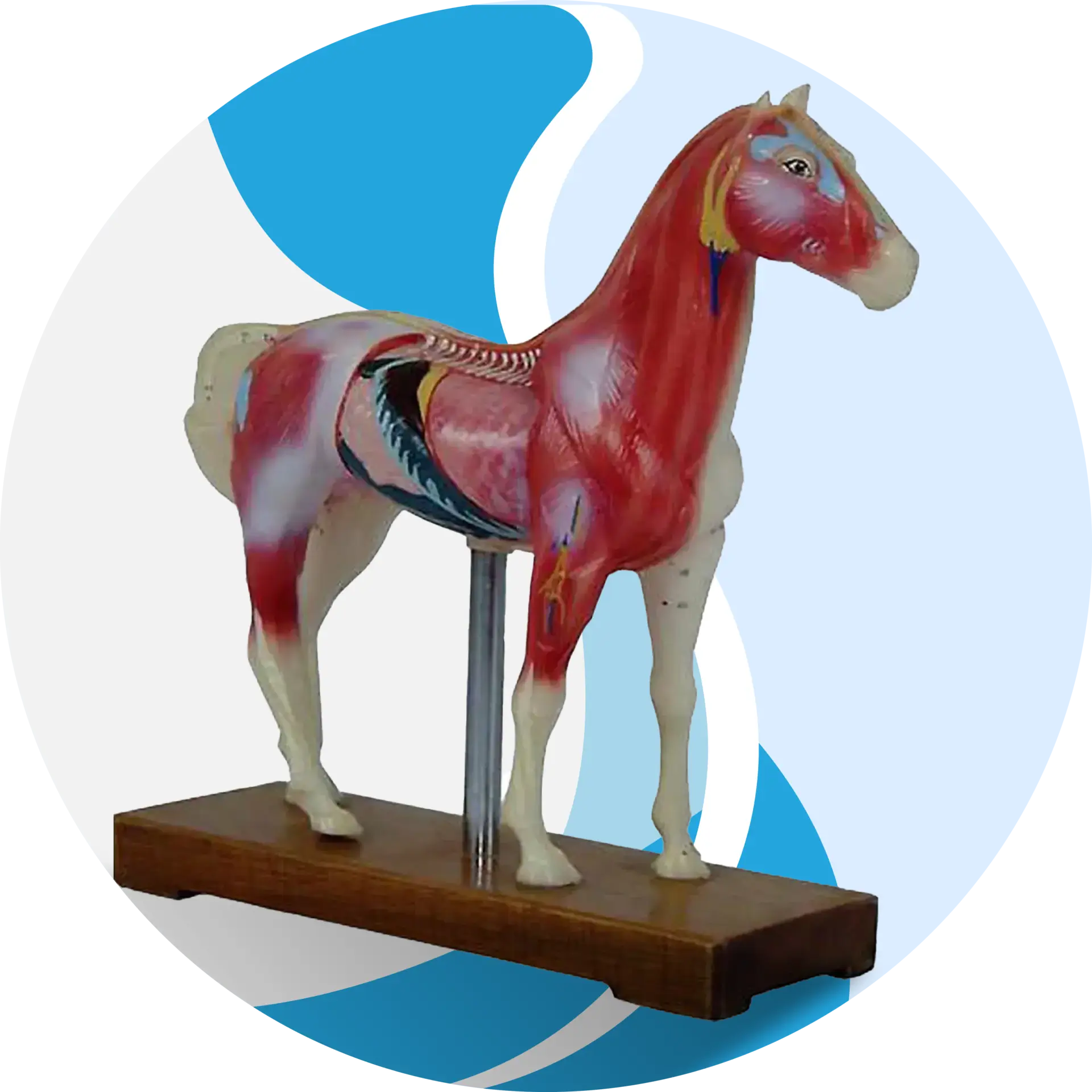 Product category image